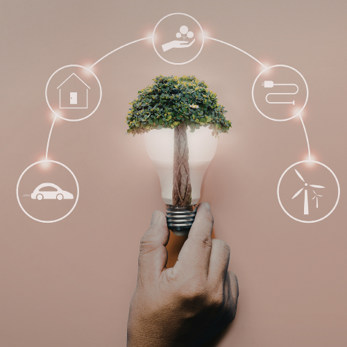 Mano sosteniendo una bombilla con un árbol e iconos de energías renovables para el programa de Gestión Medioambiental y Sostenibilidad.